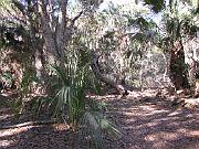 St. Augustine - Jan 2012 117